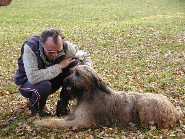 Bouvier
