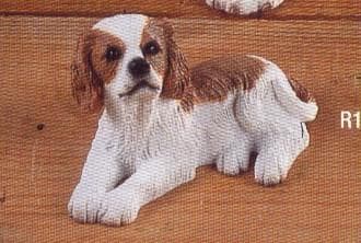Cute dog